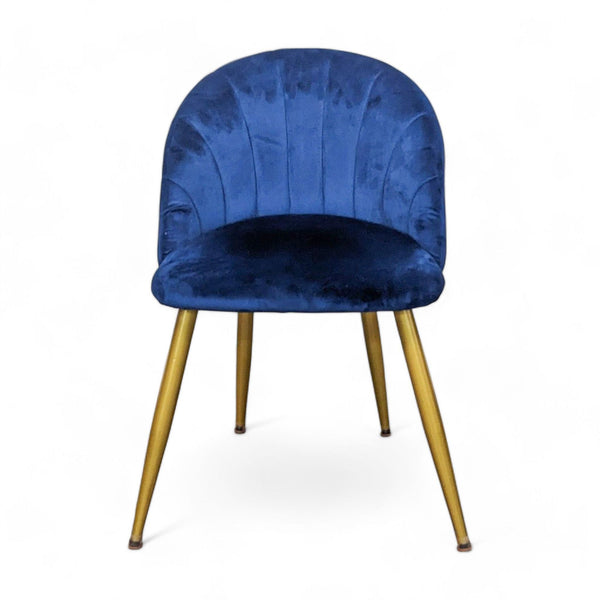 Reperch dining chair with plush blue velvet upholstery and tufted backrest on gold-finished metal legs, front view.