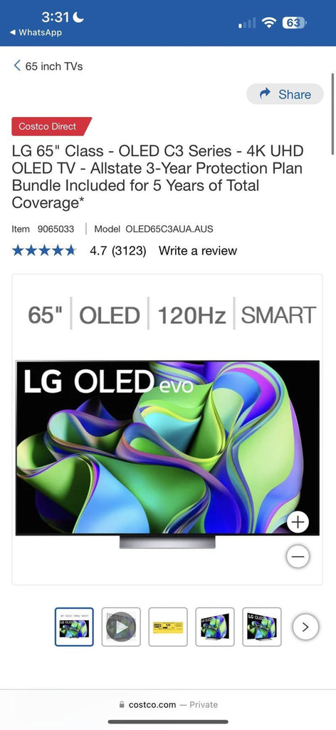 a large picture of a person on a computer screen 