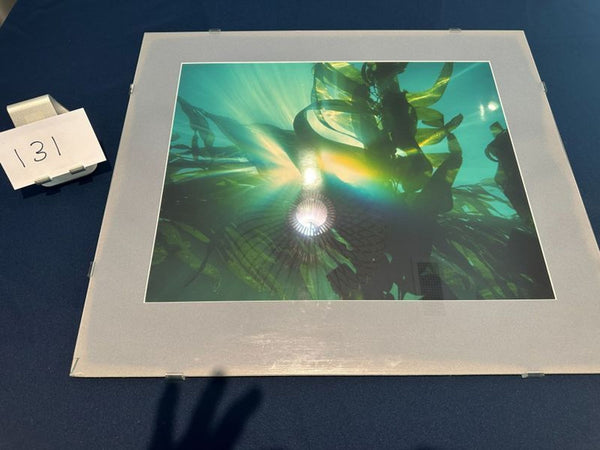 1. Framed underwater print with green kelp and sunlight, displayed on a dark table with lot number 131.