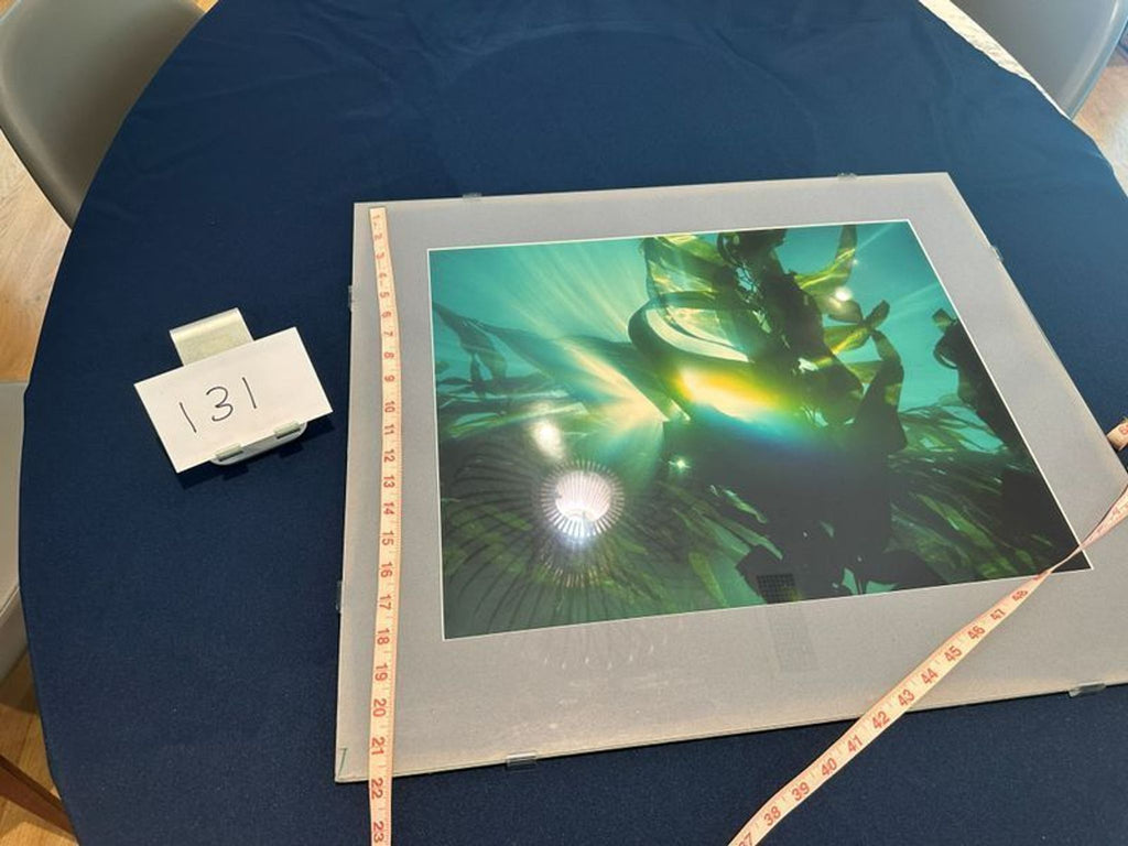 2. Framed kelp forest print on table, accompanied by a measuring tape and number 131 table card.