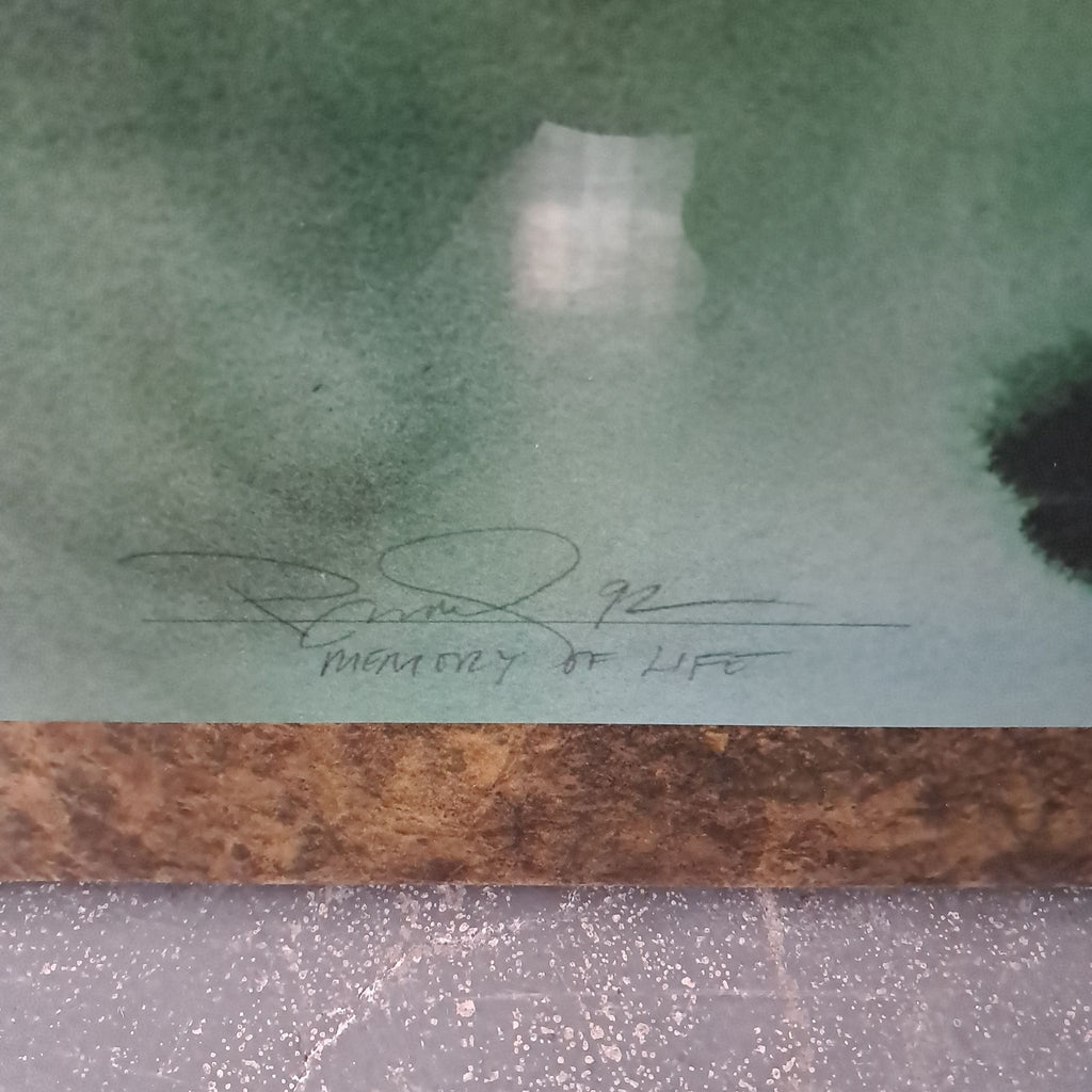 Peter Kitchell Signed Memory Of Life 92 Vivid Colors