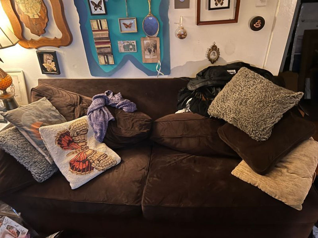 1. Brown 3-seat Macy’s sofa in a cozy room with patterned pillows and wall art decorations behind it.