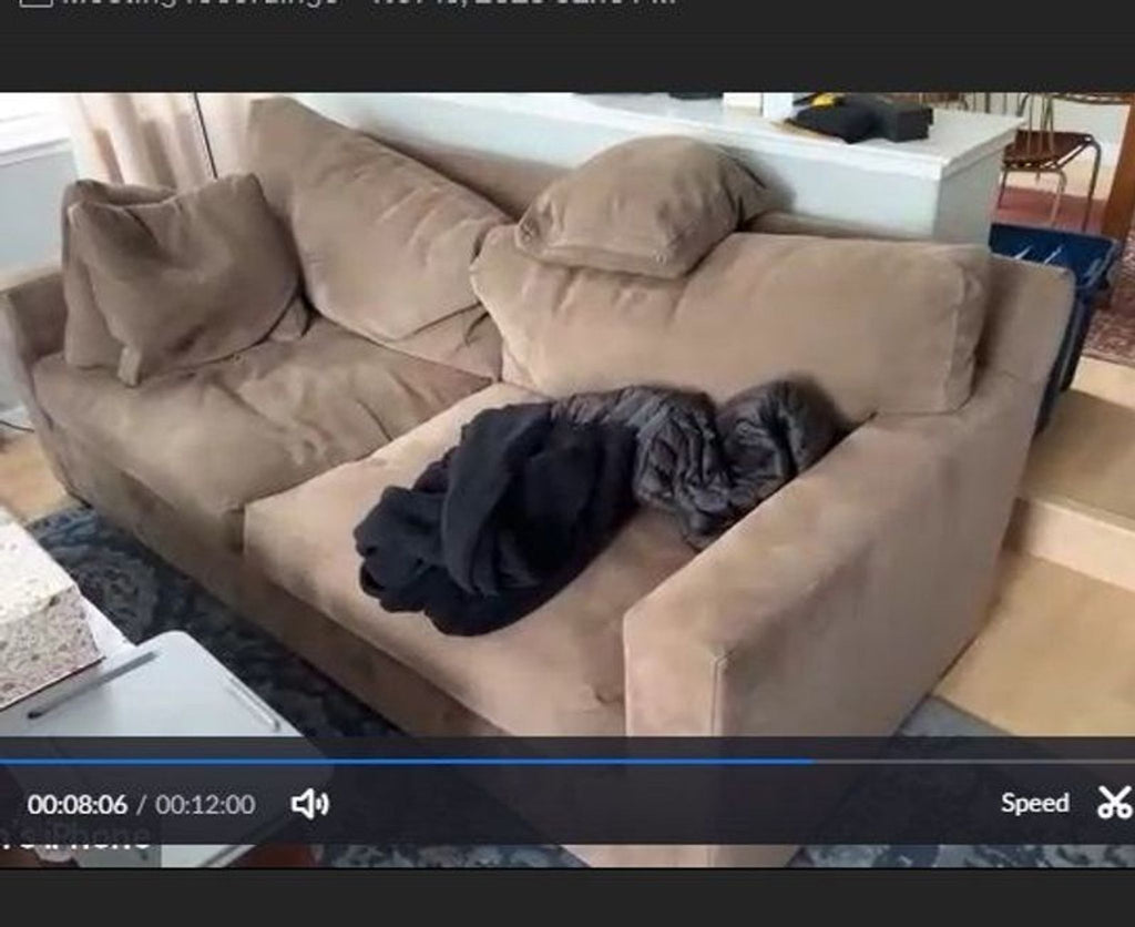 1. Crate and Barrel 3-seat couch in a living room, taupe color, with pillows and a black blanket on one seat.