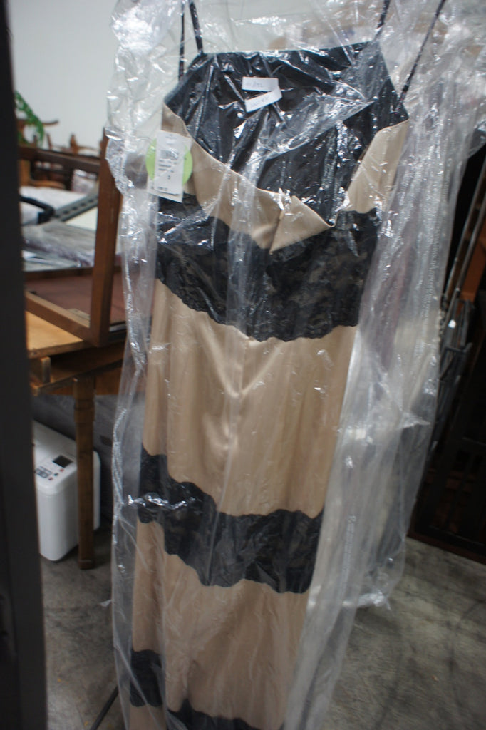 3. Reperch women's champagne dress with lace stripes, size 3, photographed hanging in protective wrap.