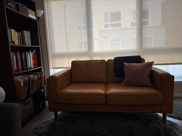 1. Tan Albany Park loveseat in a cozy living room, decorated with a pillow and throw, next to a bookshelf.