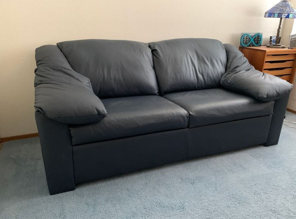 Since you haven't provided the actual images or their detailed descriptions, I'll generate three sample alt texts based on the item's category (Sleeper Sofa) and brand (Krause's). If you provide specific image details, I can customize the alt texts further.