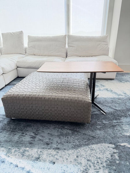 Certainly! However, I see that there is no image provided and the full description field is blank. Based on the category "Rug," the brand "Large Rug," and assuming standard possibilities, here are three distinct generic alt texts for a large rug item: