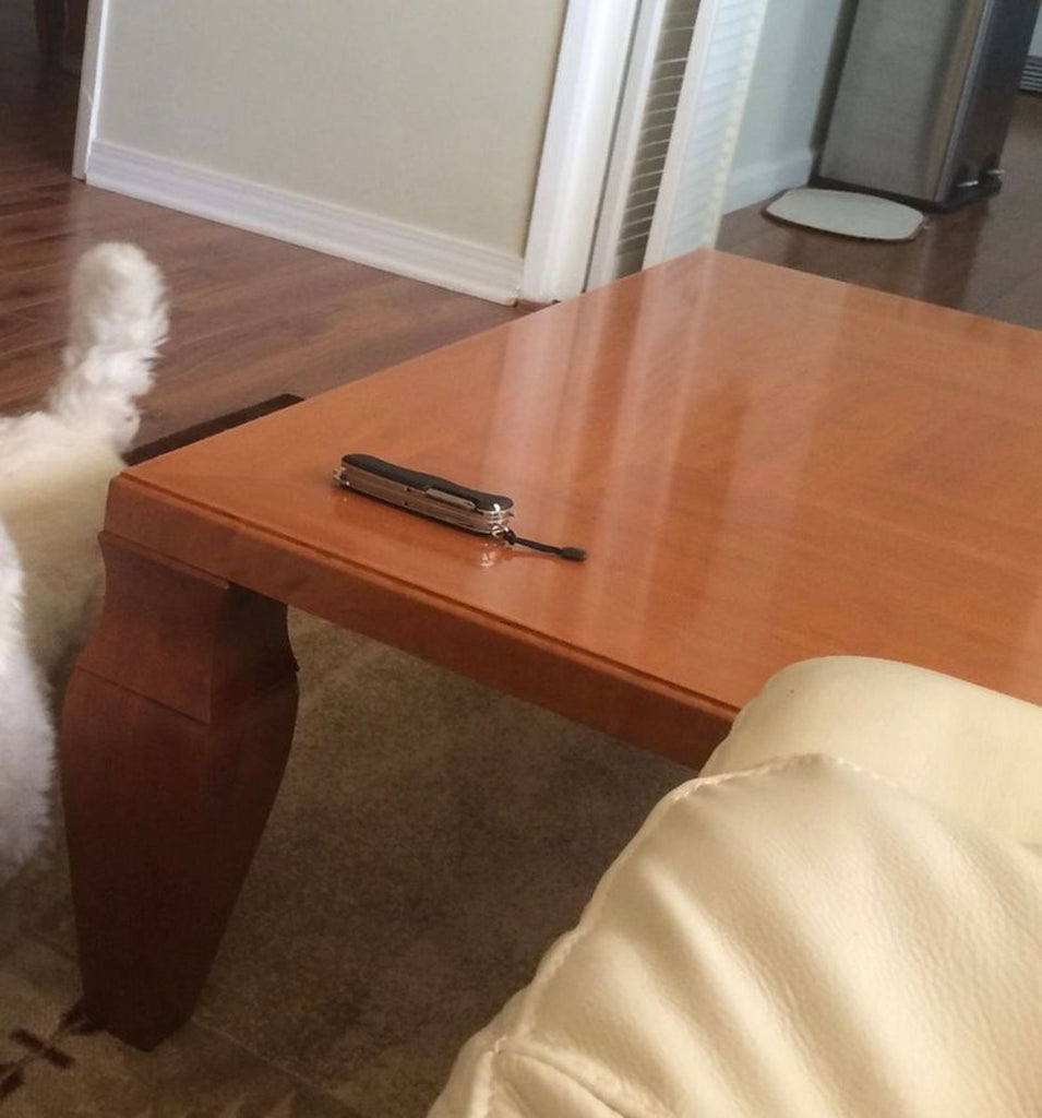 3. Close-up of a Giorgetti coffee table corner with a multitool on top, next to a sofa and a pet's tail.