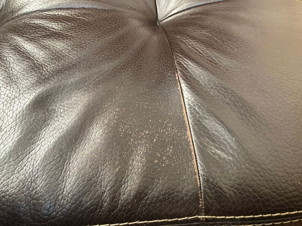 Cierre Imbottiti Modern Brown Leather Sectional Sofa with Tufted Cushions