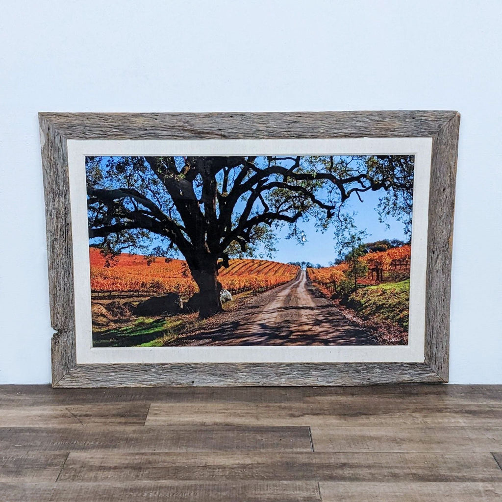 Framed vineyard photo with rustic frame, art from Healdsburg Art Gallery.