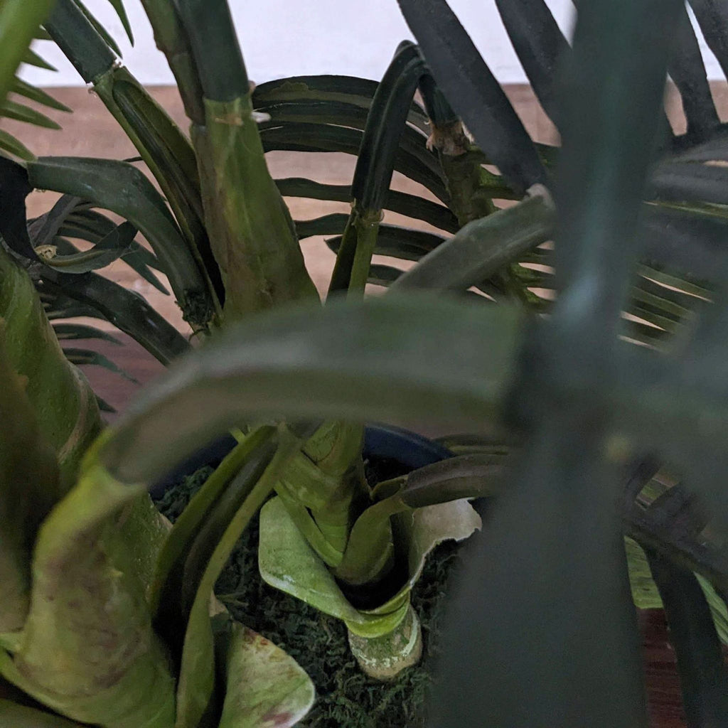 Faux Bamboo Plant