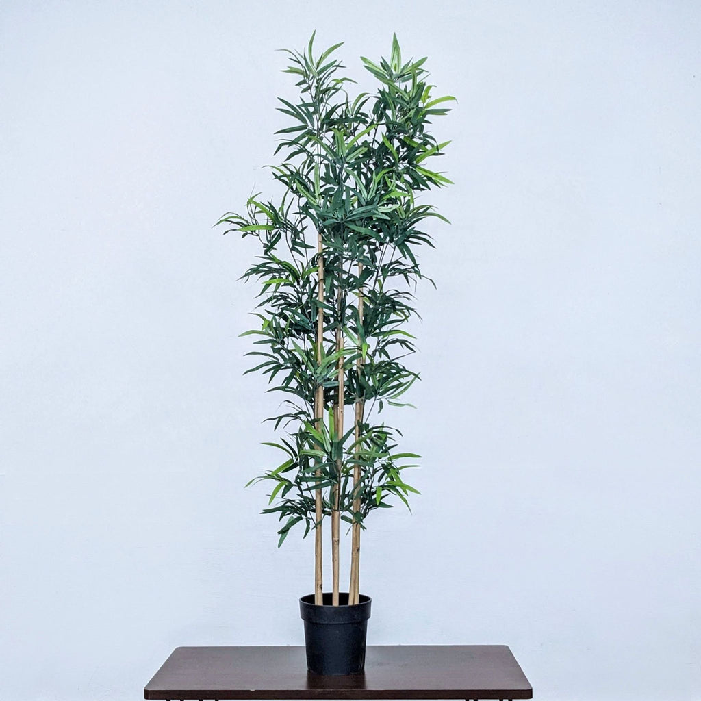 1. Artificial bamboo plant approximately 6 feet tall in a black pot, against a plain background, by Reperch.