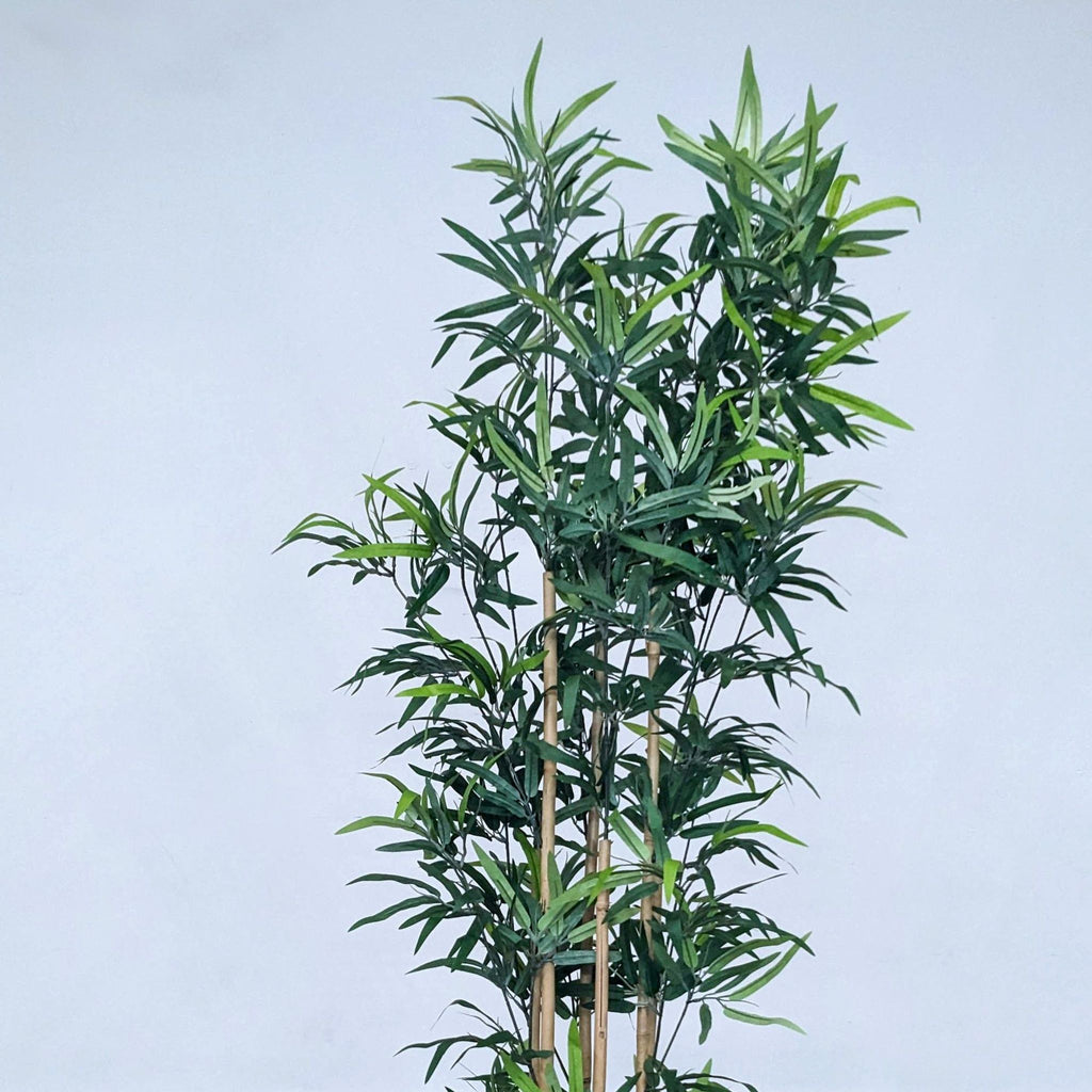 3. Lifelike 6' tall Reperch imitation bamboo plant with lush foliage in a simple black plastic pot.