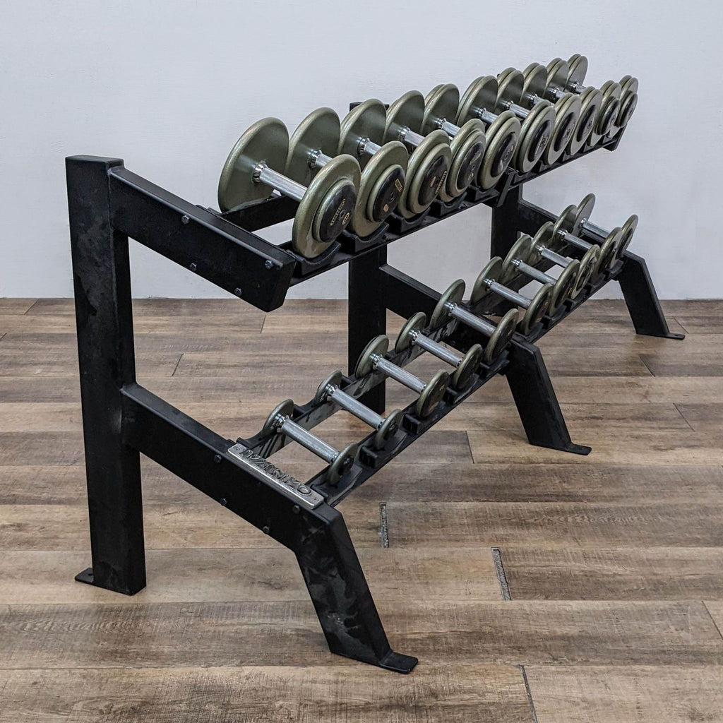Ivanko RM/EP-1.5 Dumbbells sets 5-50 lbs set, 5-100 lbs and racks