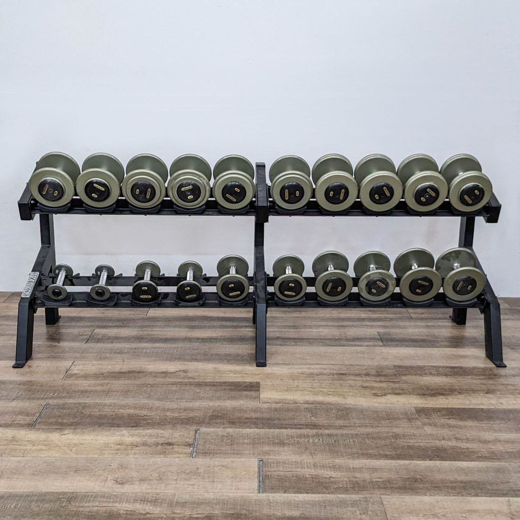 Ivanko dumbbell set on double-level rack, weights range from 5 to 100 lbs.