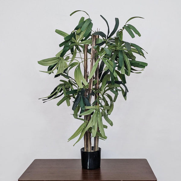 a potted plant sitting on top of a wooden table.