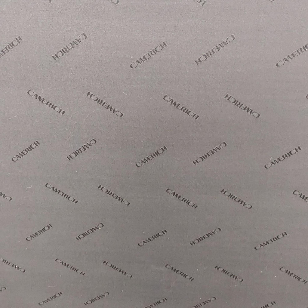 Camerich Easytime Modern Lounge Chair