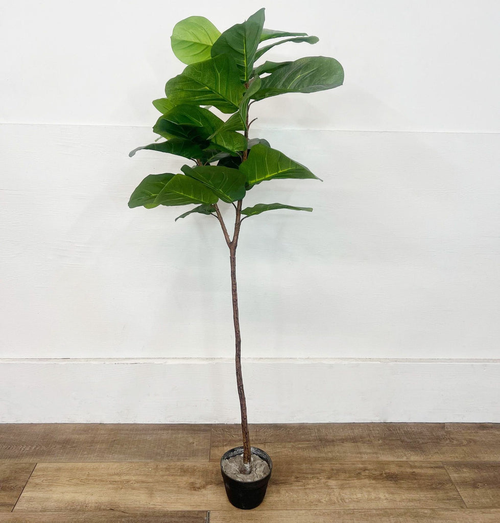 5-foot artificial fiddle leaf fig in a black planter, featuring dense green foliage.