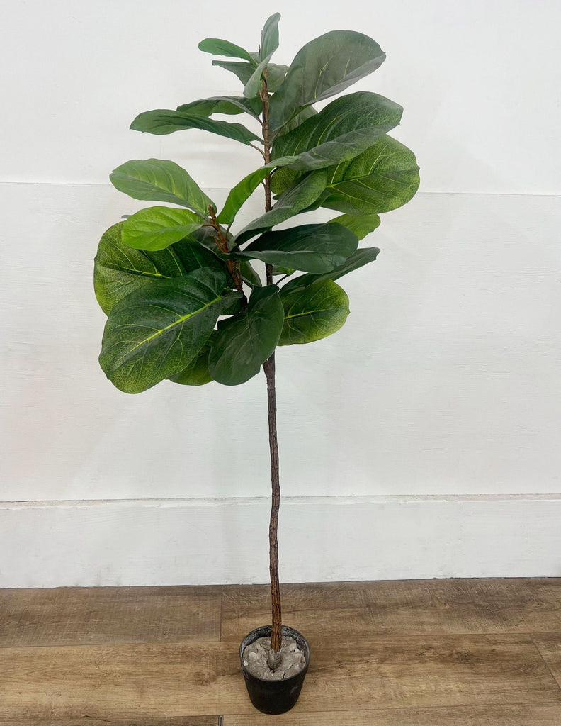 Artificial fiddle leaf fig tree, 5 feet tall in a black pot, with large glossy leaves.