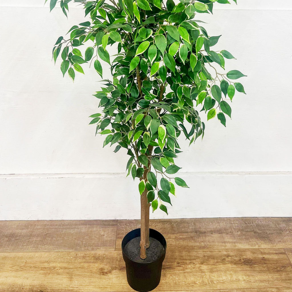 Artificial Ficus Tree
