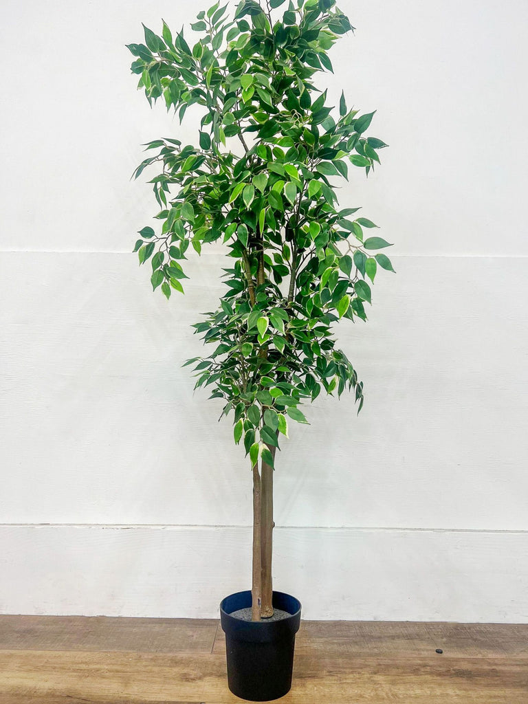 Detailed view of Reperch’s artificial 5’5” Ficus Tree foliage.
