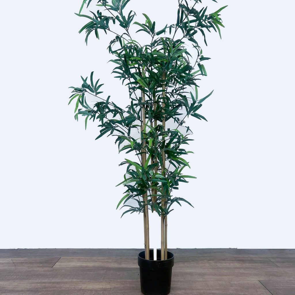 Artificial bamboo tree in a black pot on a wooden floor.