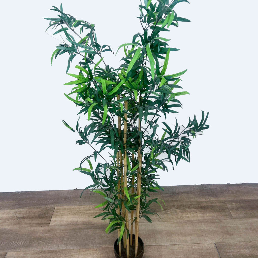 Top view of artificial bamboo plant in a pot.
