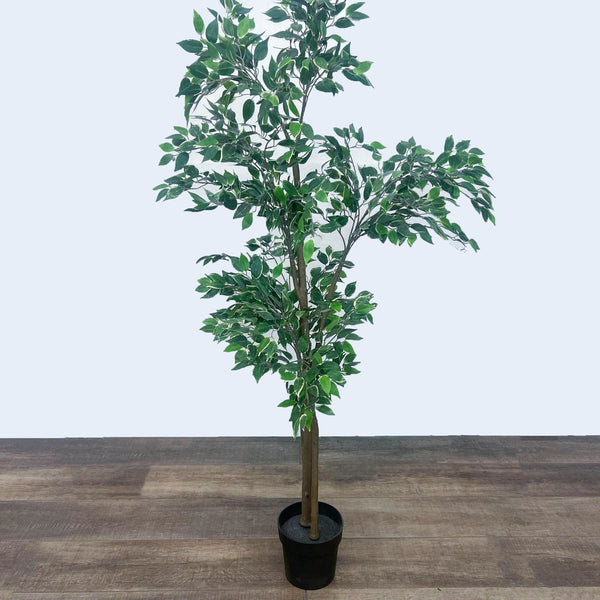 Artificial Ficus Tree, about 5’ tall, in a black plastic pot.