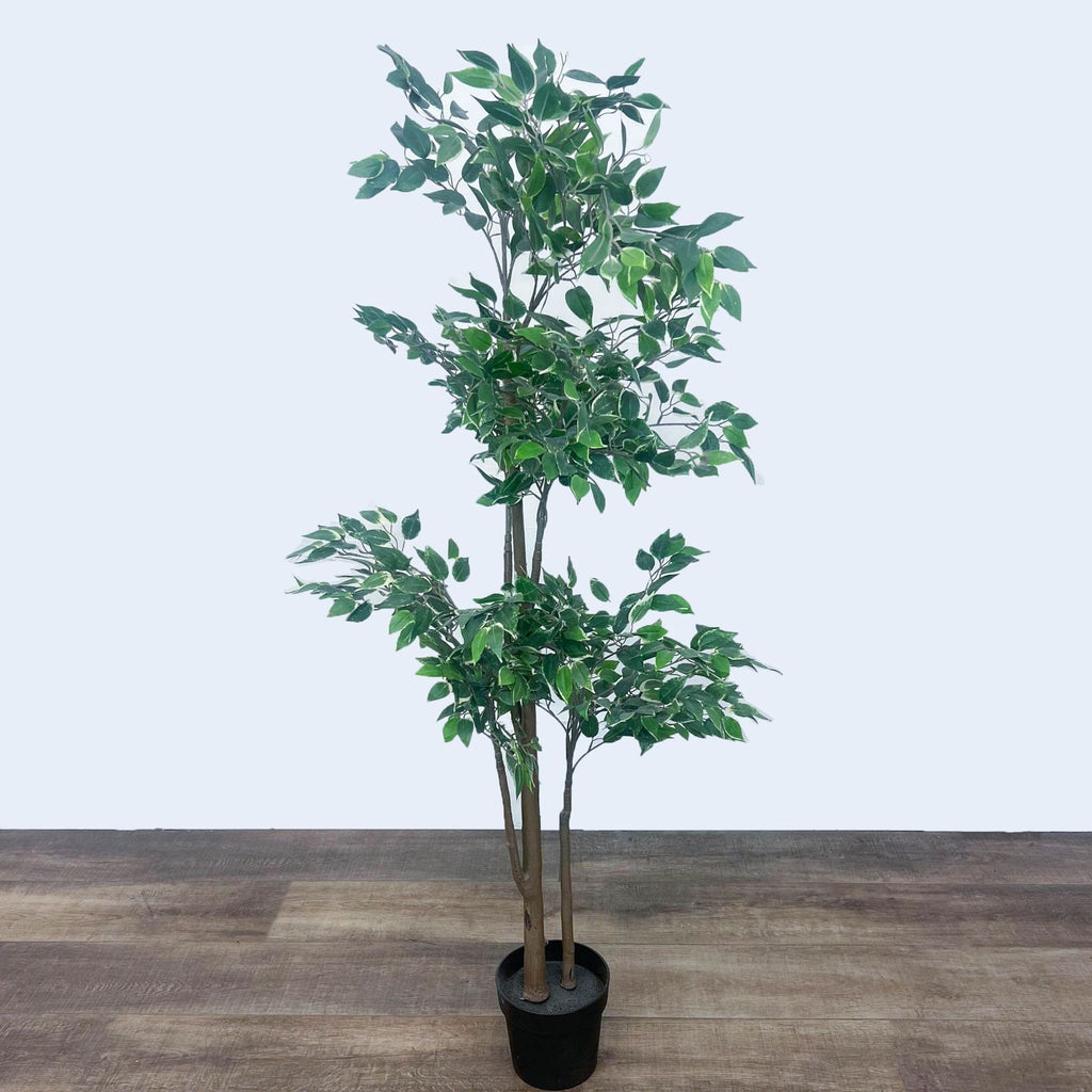 Full view of artificial Ficus Tree in black pot, 5’ tall.