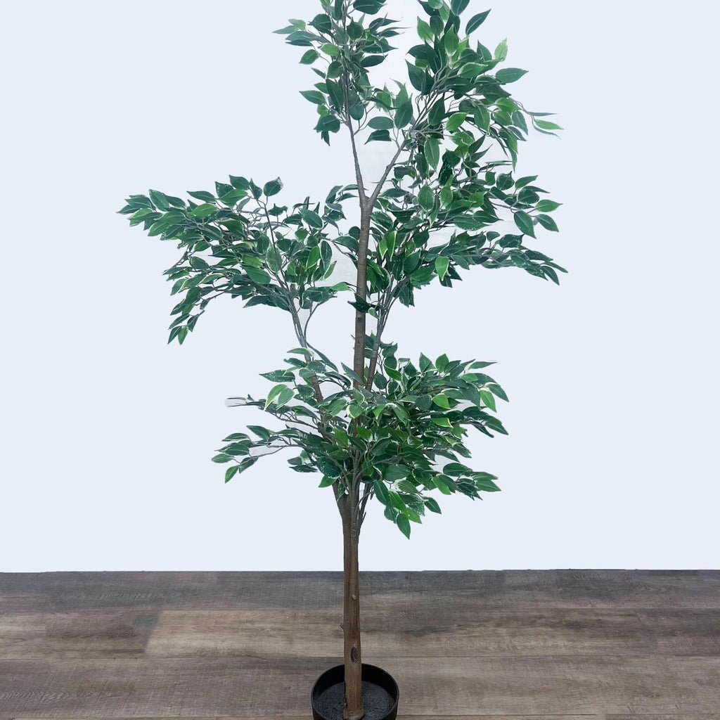 Artificial Ficus Tree