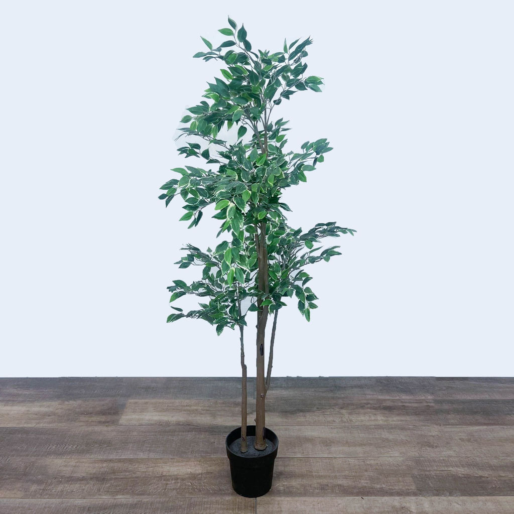 Artificial Ficus Tree