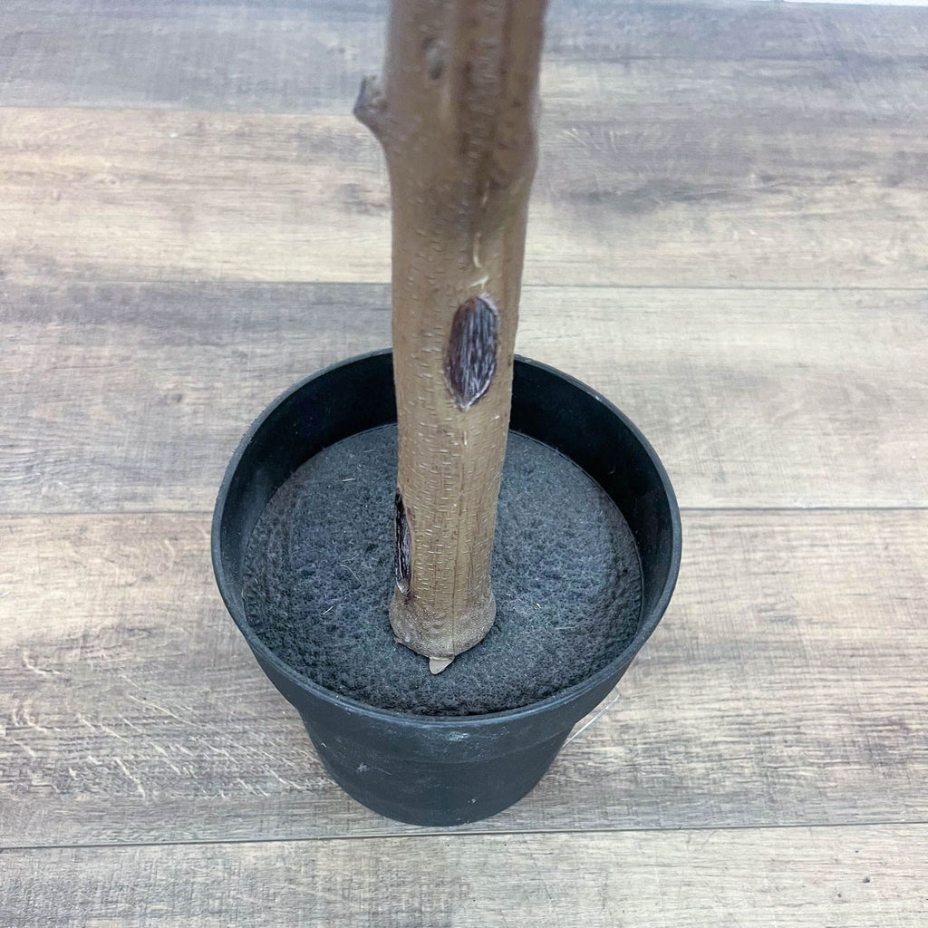 Close-up of artificial Ficus trunk in a black plastic pot.