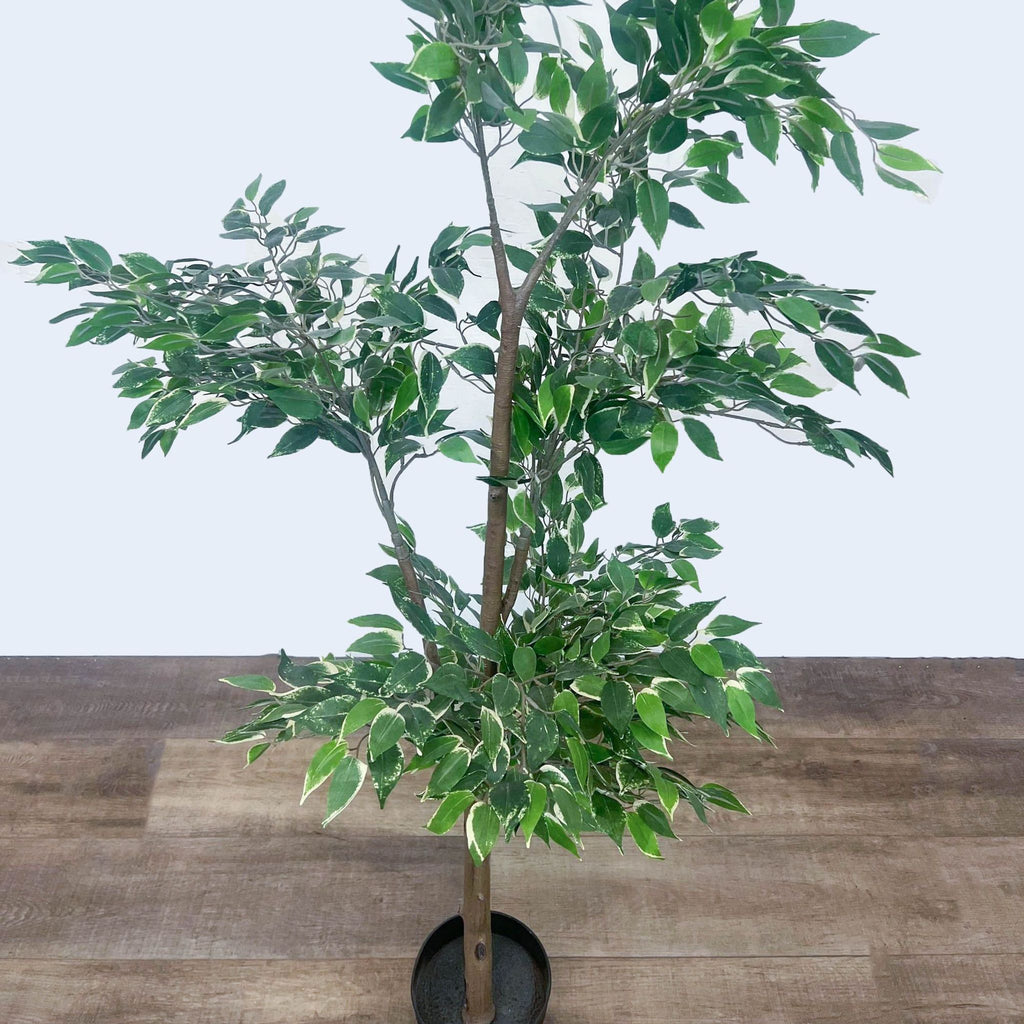 Artificial Ficus Tree