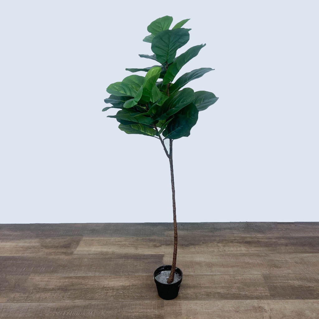 Artificial Fiddle Leaf Fig Tree