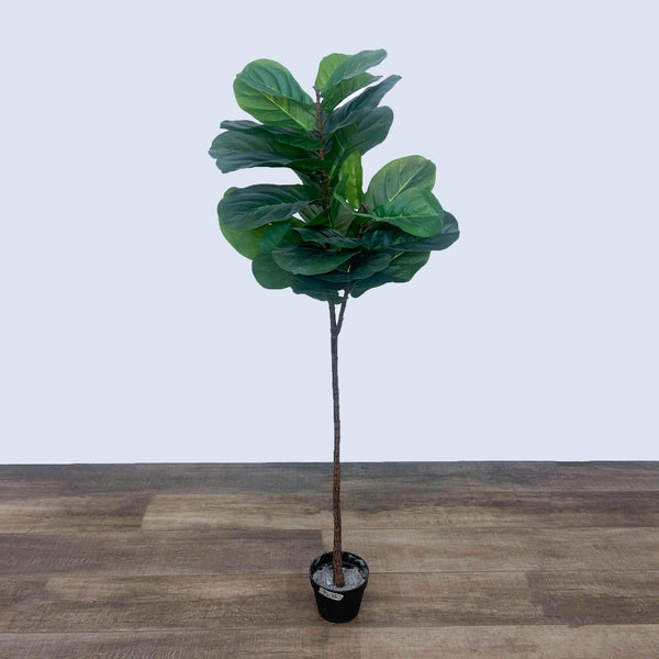 Artificial fiddle leaf fig tree in a black plastic pot on wood floor.