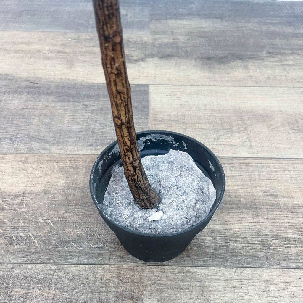 Close-up of artificial fig tree stem set in a black plastic pot.
