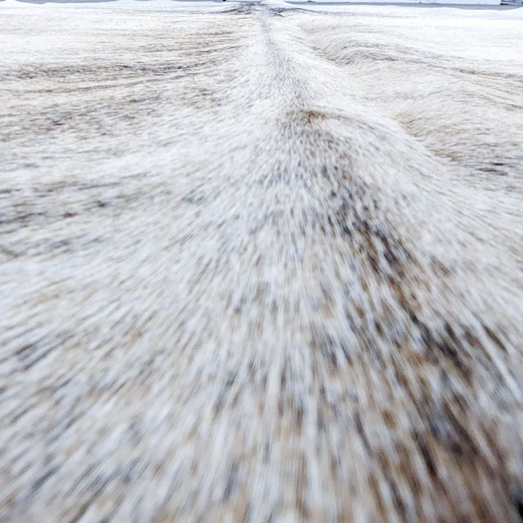 Room & Board Genuine Steer Hide Rea Rug