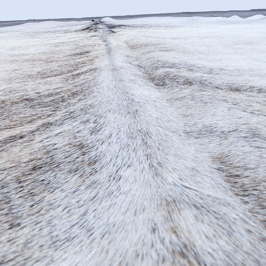 Close-up of textured Room & Board steer hide rug surface.