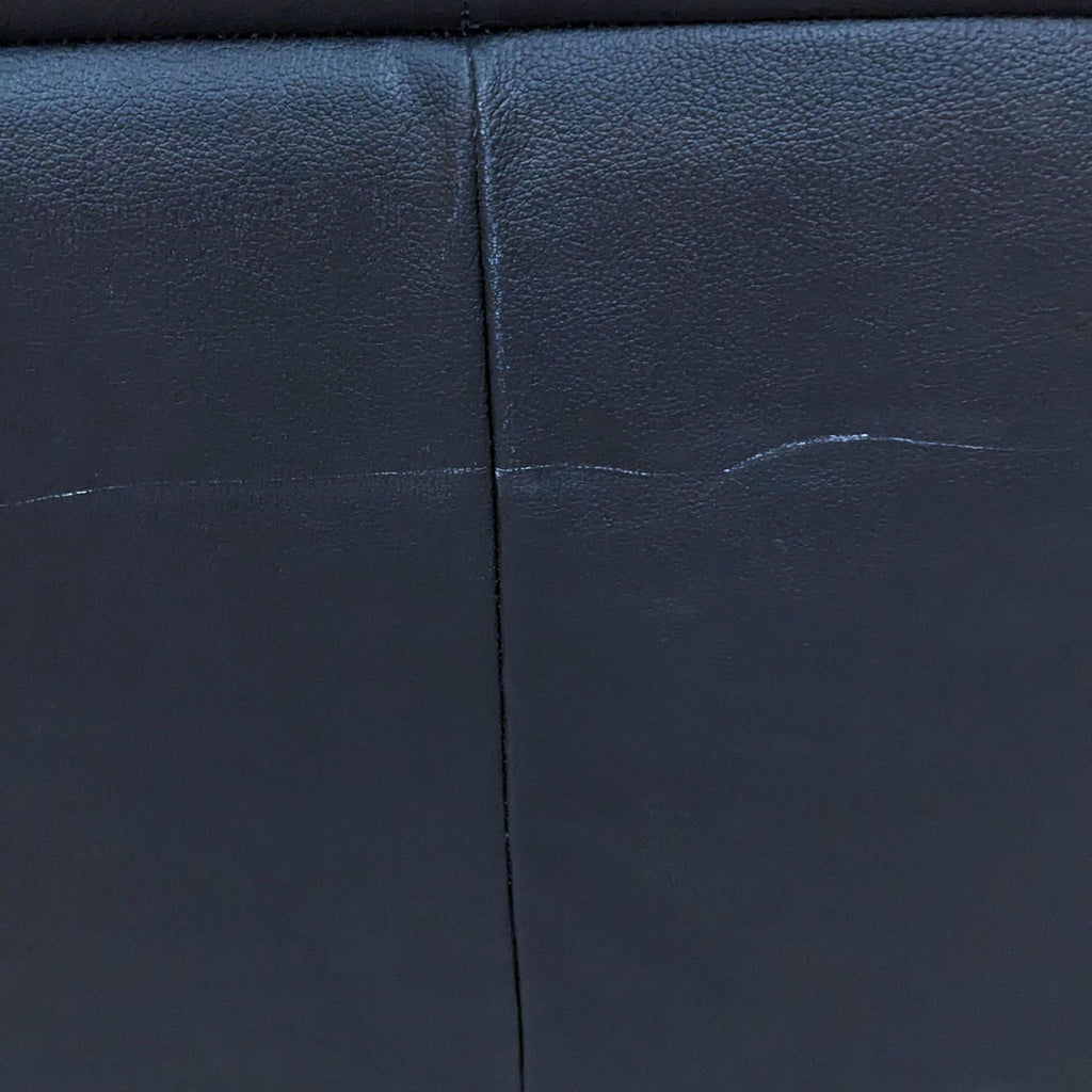 Contemporary Compact Sofa