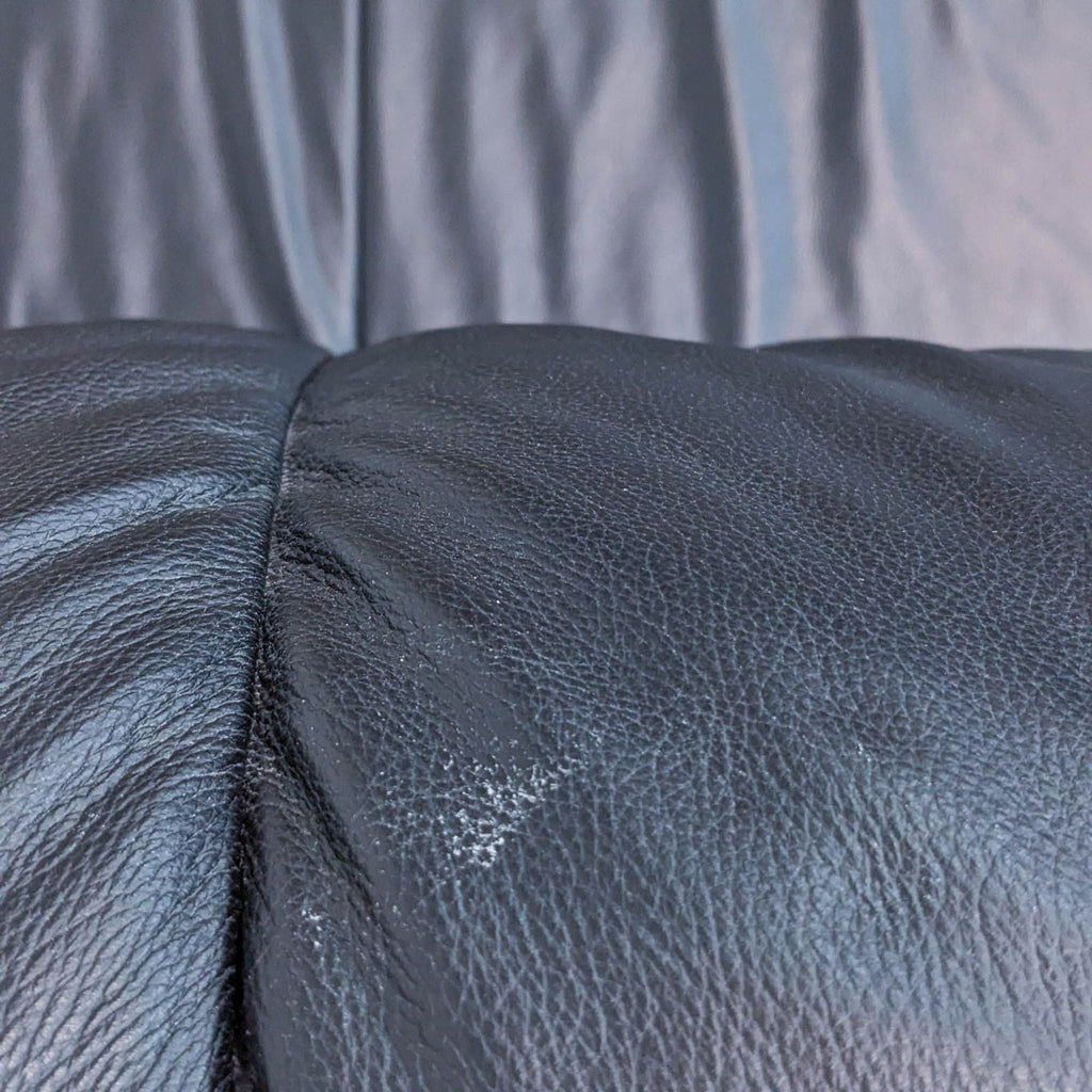 Contemporary Compact Sofa