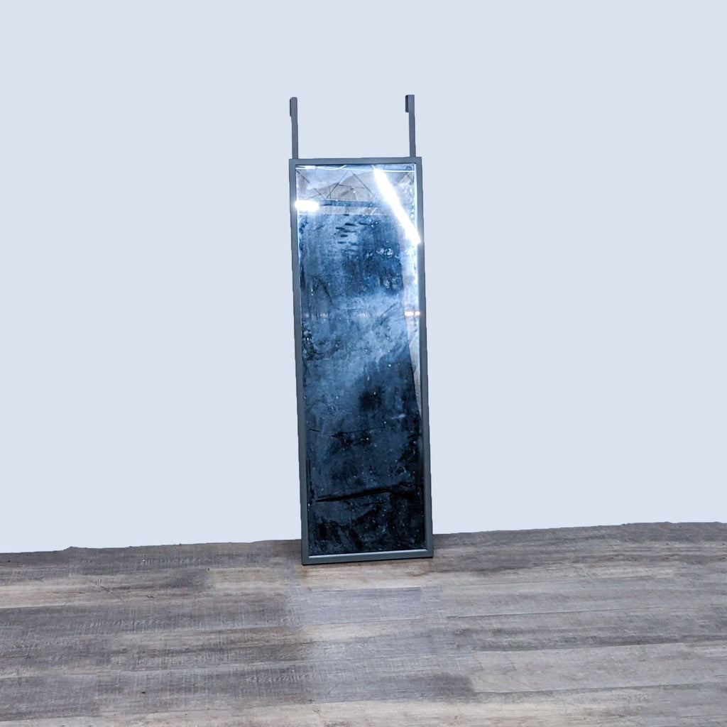 Crate & Barrel's door-hanging mirror with a sleek frame and reflective surface.