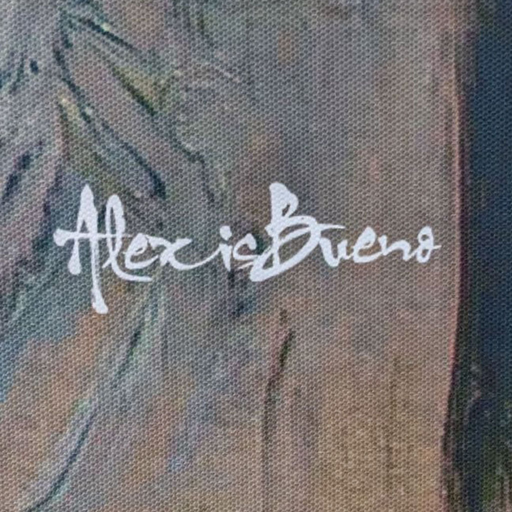 Close-up of Alexis Bueno's signature on abstract canvas art.