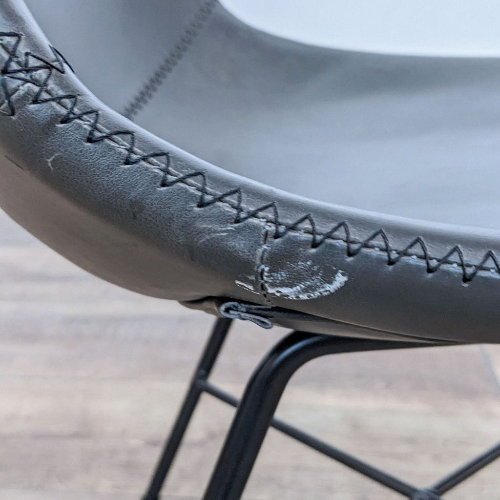 Poly & Bark Paxton Dining Chair