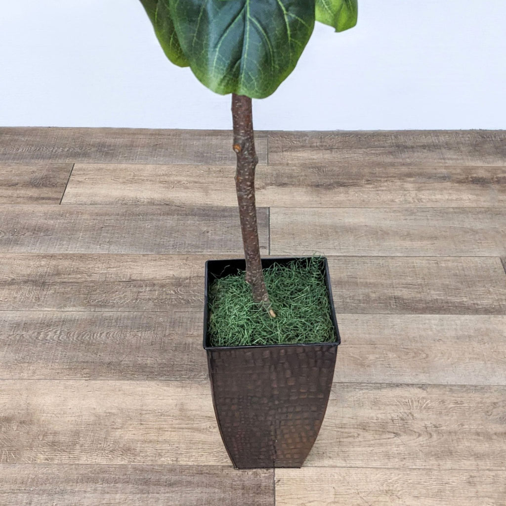 Close-up of black planter with an artificial Fiddle Leaf Fig tree trunk.