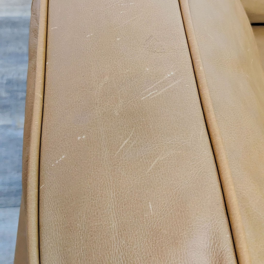 Article Timber Charme Tan Chair