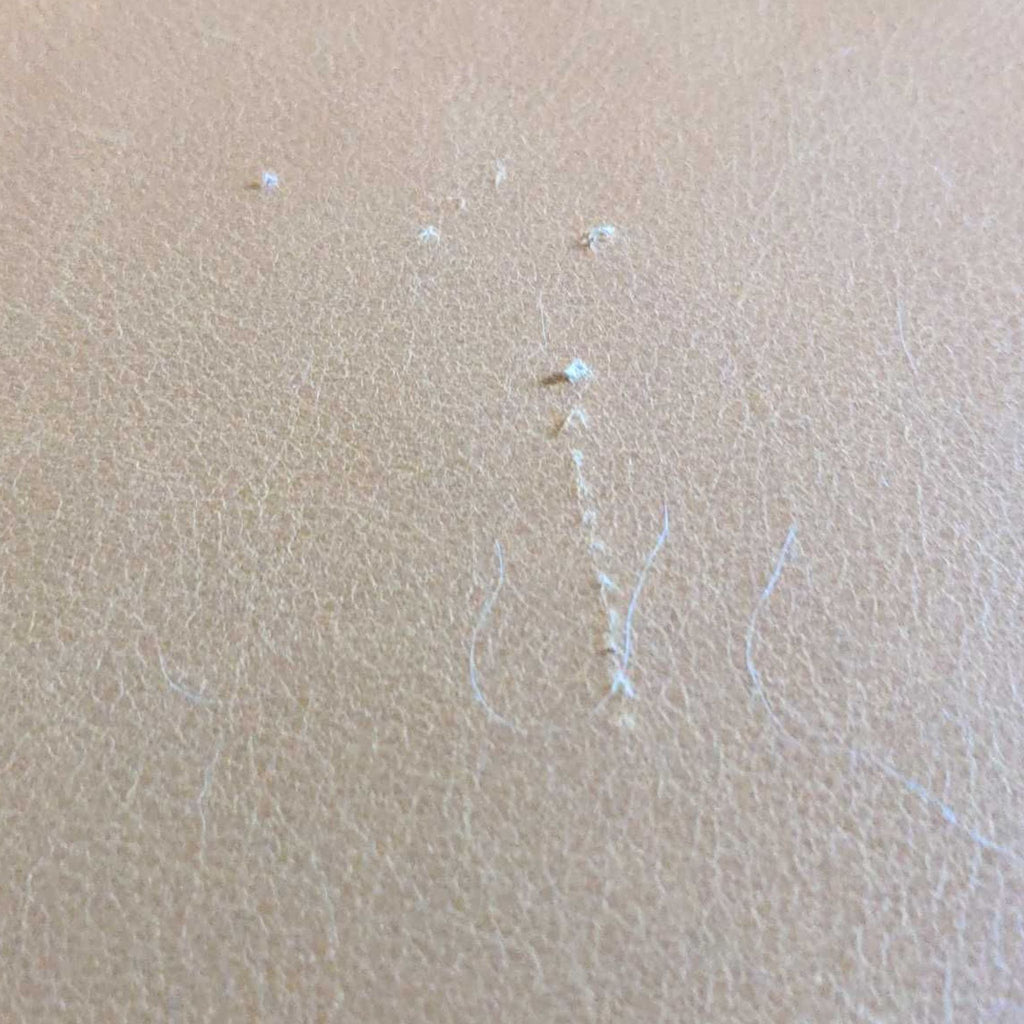 Article Mid-Century Modern Leather Sofa