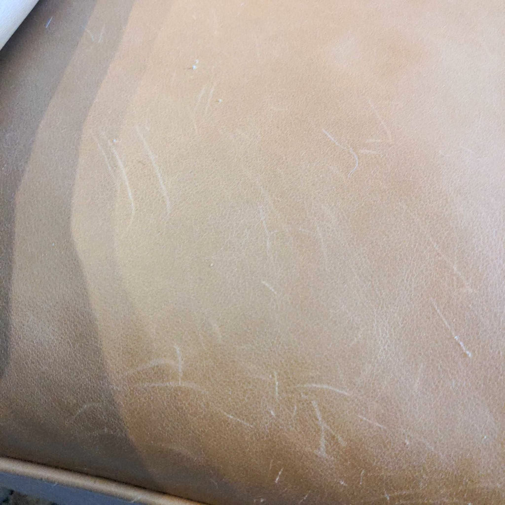 Article Mid-Century Modern Leather Sofa