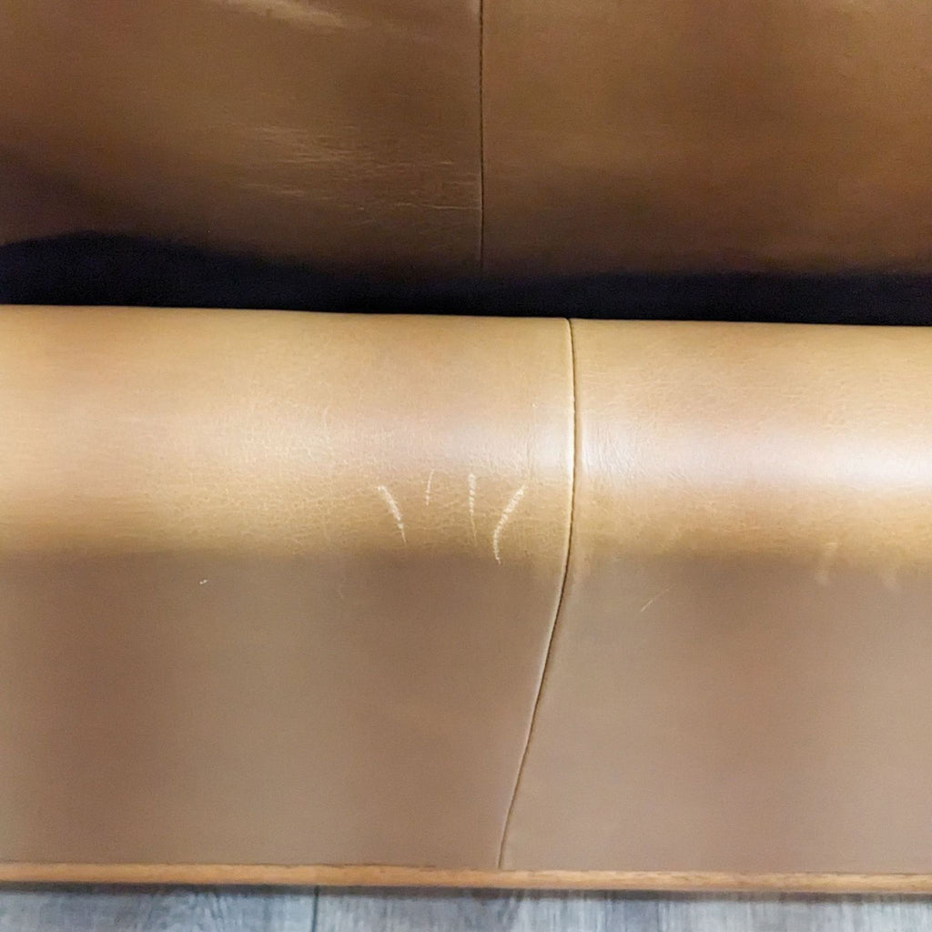 Article Mid-Century Modern Leather Sofa