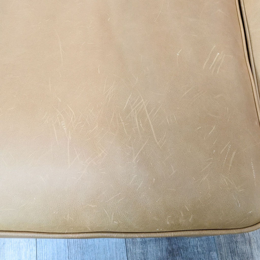 Article Mid-Century Modern Leather Sofa