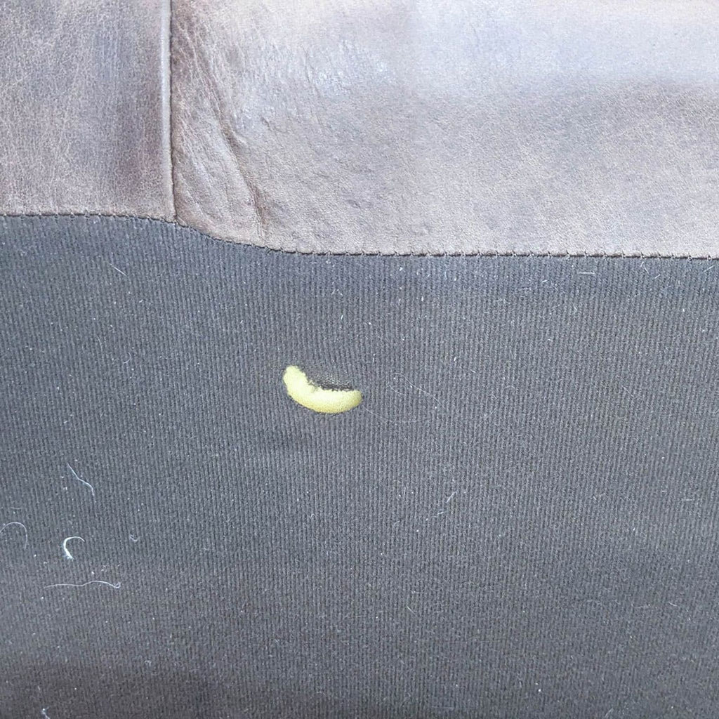 Article Charme Leather Sofa